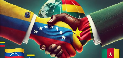 Bilateral Relationship between Venezuela and Cameroon